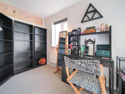 Picture 8
